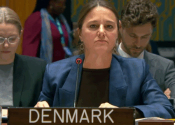 UN sanctions body backs Pakistan’s claim of TTP attacks from Afghan soil