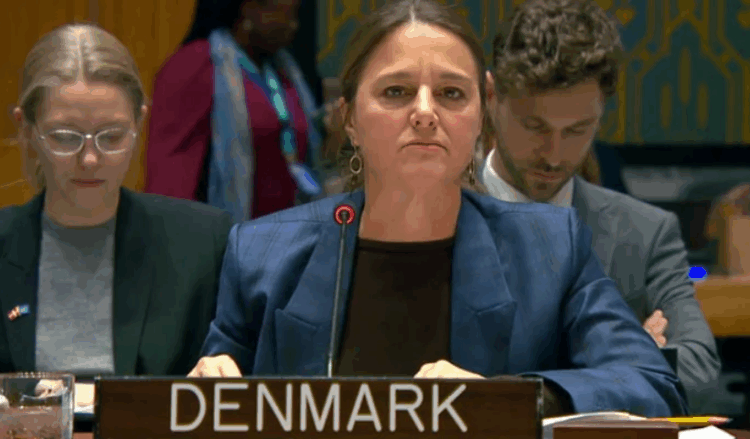 UN sanctions body backs Pakistan’s claim of TTP attacks from Afghan soil