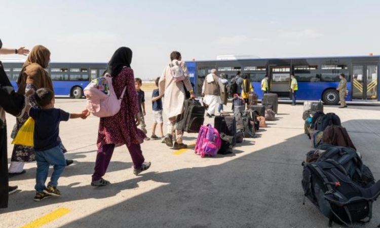 Germany to admit 535 Afghan refugees stranded in Pakistan