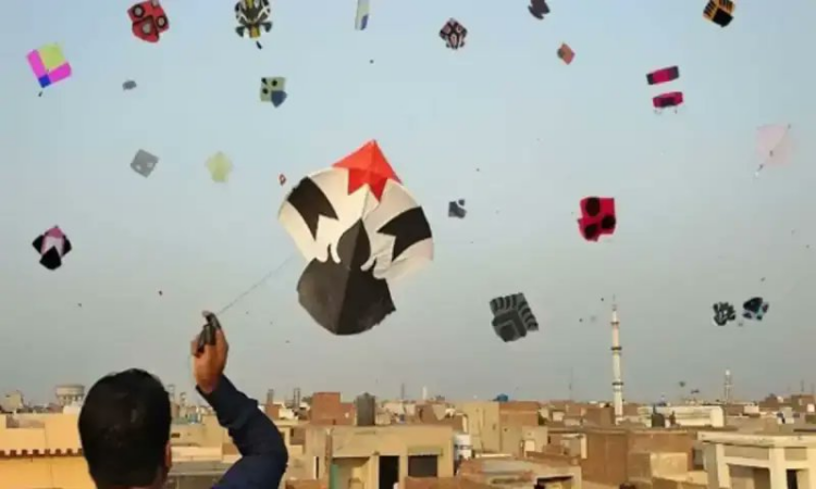 Punjab to celebrate three-day Basant festival from February 6–8, 2026