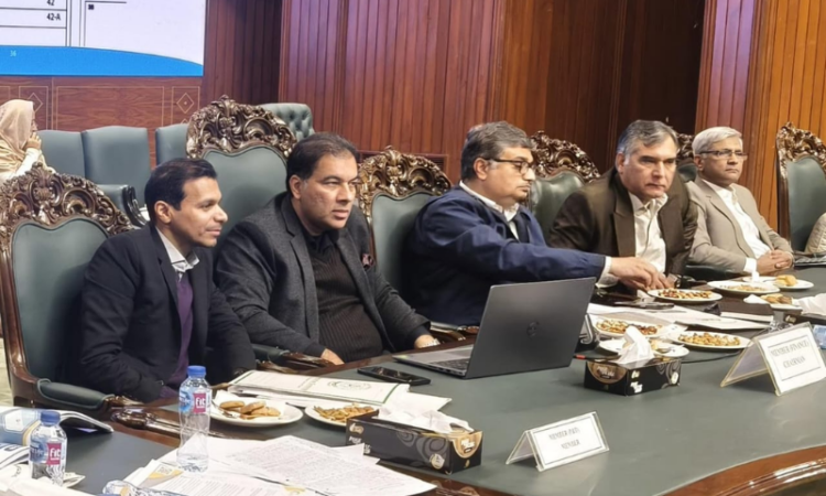 CDA auctions plots worth over Rs17 billion in Islamabad public auction