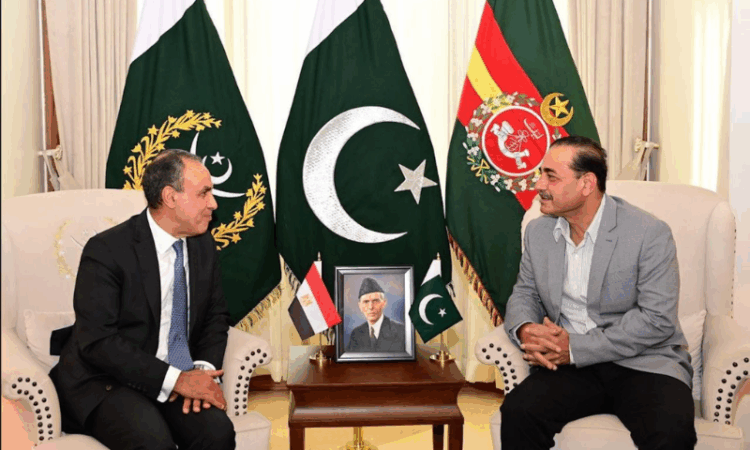 Egyptian FM calls on COAS Gen Asim Munir, discusses defence and security cooperation