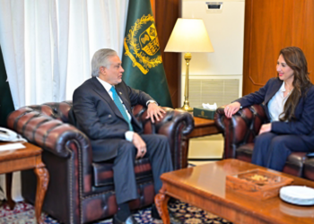 US Charge d’Affaires calls on Deputy PM Ishaq Dar, discusses bilateral and regional issues