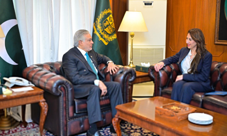 US Charge d’Affaires calls on Deputy PM Ishaq Dar, discusses bilateral and regional issues