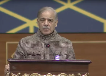 PM Shehbaz stresses national unity, praises armed forces’ sacrifices