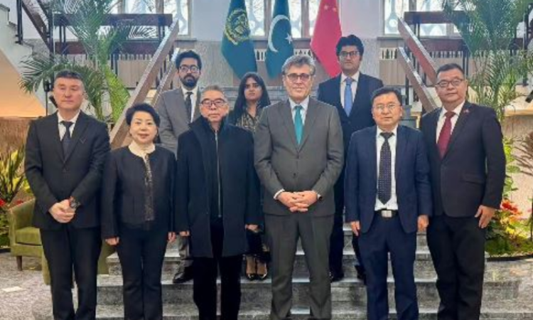Ambassador Khalil Hashmi holds strategic meetings with Honorary Investment Counsellors in China
