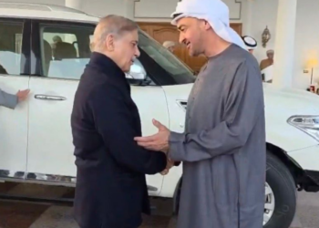 PM Shehbaz, UAE President pledge to deepen strategic economic partnership