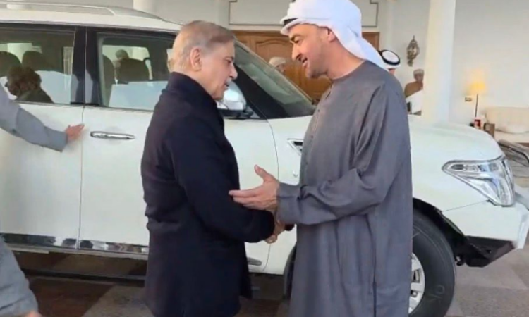 PM Shehbaz, UAE President pledge to deepen strategic economic partnership