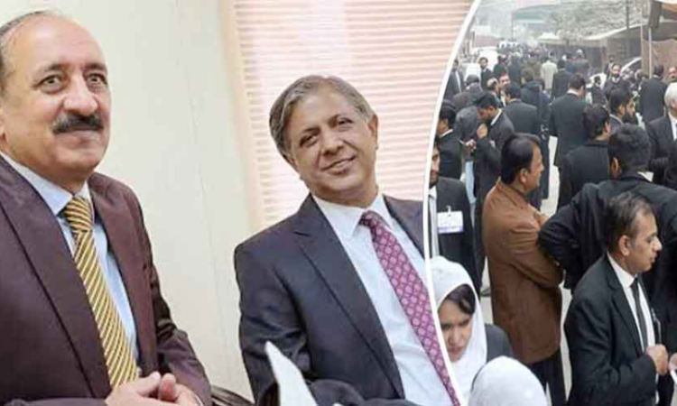 Asma Jahangir Group secures majority in Punjab Bar Council elections