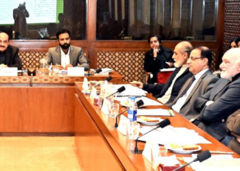 Senate body raises alarm over smuggling of hazardous food, substandard imports