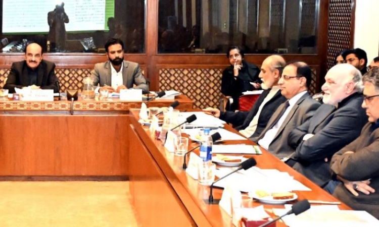 Senate body raises alarm over smuggling of hazardous food, substandard imports