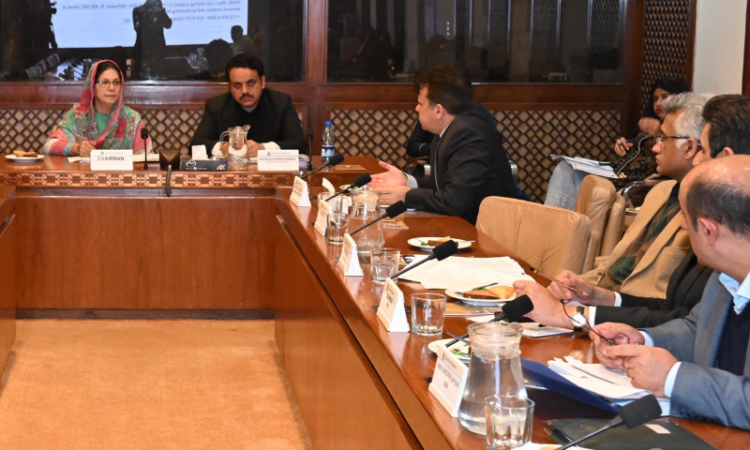 Senate committee voices concern over FBR Chairman’s absence, reviews EV policy and Pakistan Steel Mills issues