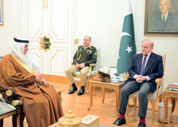 PM Shehbaz emphasises regional peace, stability in meeting with Saudi Ambassador