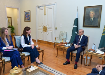 PM Shehbaz highlights strong Pakistan-UK ties during meeting with UK minister