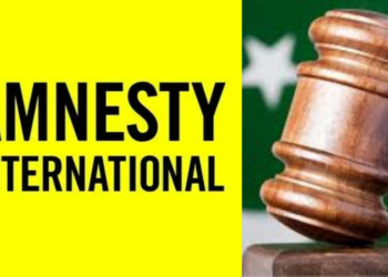Amnesty calls 27th Constitutional Amendment ‘assault on judicial independence,’ urges urgent review