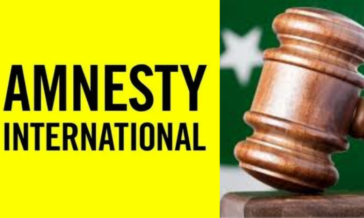 Amnesty calls 27th Constitutional Amendment ‘assault on judicial independence,’ urges urgent review