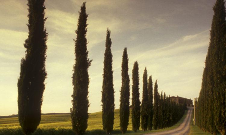 From personal loss to public action: how one student’s tragedy sparked a movement against extremism