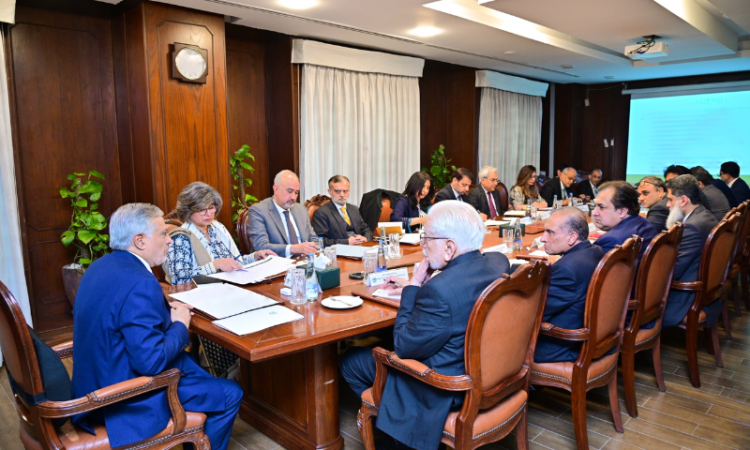 Ishaq Dar chairs consultative meeting on regional, global developments