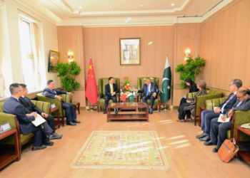 Ishaq Dar meets China Minmetals delegation, reaffirms support for mining investment