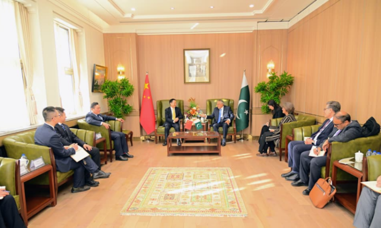 Ishaq Dar meets China Minmetals delegation, reaffirms support for mining investment