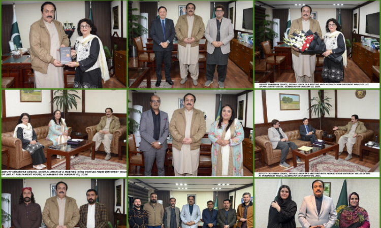 Deputy Chairman Senate meets delegations from diverse walks of life