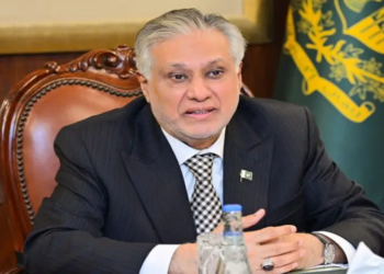 Ishaq Dar reviews wheat stocks, assures adequate reserves and food security