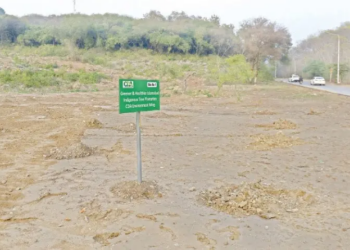 Parliamentary committee raises alarm over tree cutting in Islamabad, demands accountability