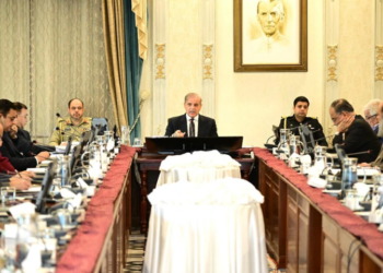 Cabinet ratifies decisions on Islamabad LG elections, PIA privatization, and economic measures