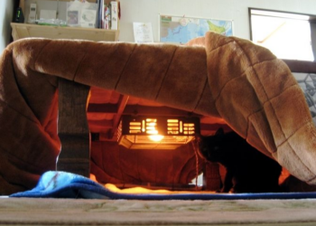 Japan’s Kotatsu: A cozy winter tradition bringing families together