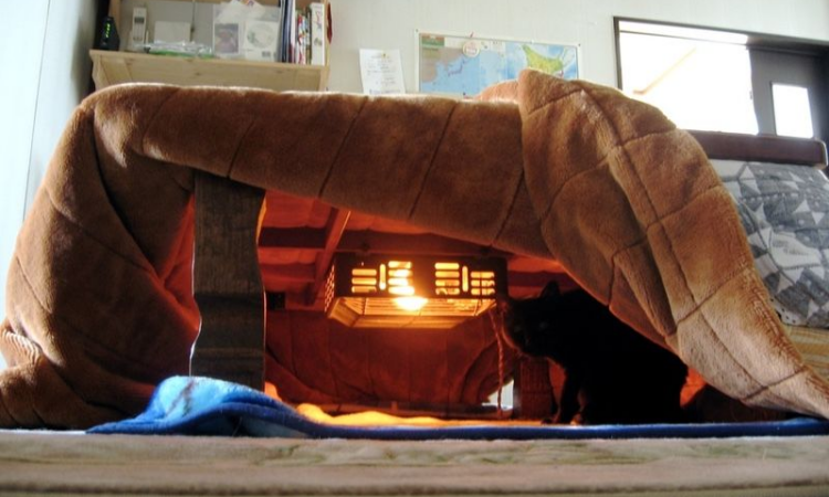 Japan’s Kotatsu: A cozy winter tradition bringing families together