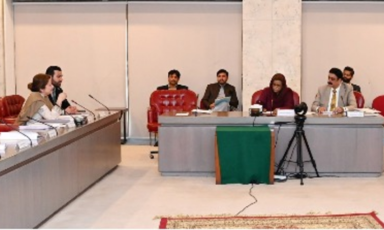 Parliamentary committee stresses urgent action against digital violence targeting women