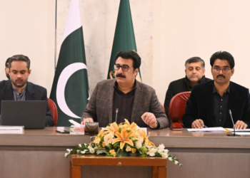 Parliamentary committee reviews overseas employment, welfare issues of Pakistani workers