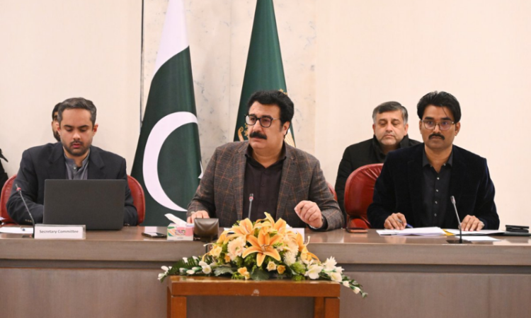 Parliamentary committee reviews overseas employment, welfare issues of Pakistani workers