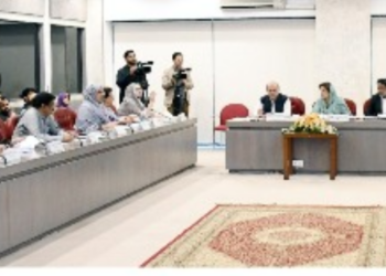 NA Committee urges CDA inquiry over developmental charges, approves updates on public assurances