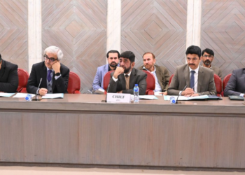 NA committee slams weak oversight of CWAs, seeks performance audits and better overseas welfare mechanisms