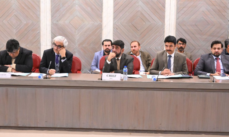 NA committee slams weak oversight of CWAs, seeks performance audits and better overseas welfare mechanisms