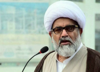 Senate Opposition Leader post filled: MWM Chief Allama Raja Nasir Abbas appointed