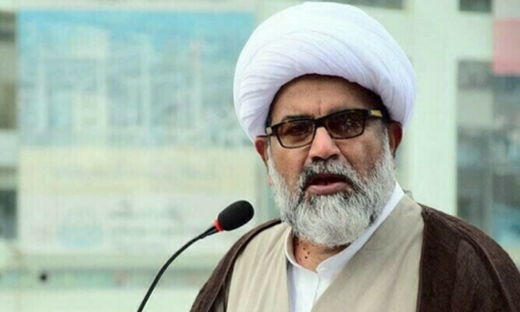 Senate Opposition Leader post filled: MWM Chief Allama Raja Nasir Abbas appointed