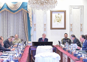 PM Shehbaz says global demand for Pakistani fighter jets rises after May 2025 conflict