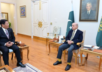 PM Shehbaz Sharif meets Myanmar FM, highlights expanding bilateral cooperation