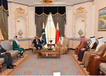 President Zardari meets Bahrain’s King Hamad, discusses trade, investment and defence cooperation