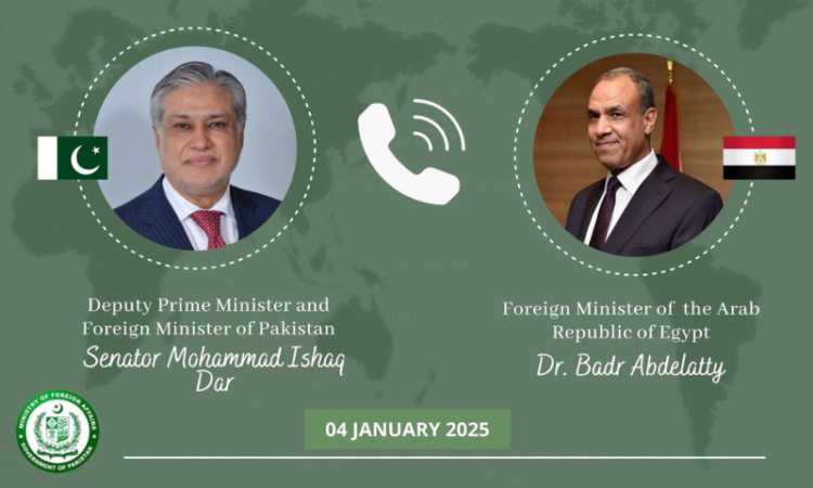 Ishaq Dar, Egyptian FM discuss regional situation, reaffirm commitment to stronger bilateral ties