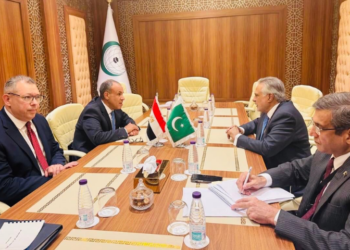 Pakistan, Egypt review bilateral ties, discuss Gaza situation on sidelines of OIC meeting