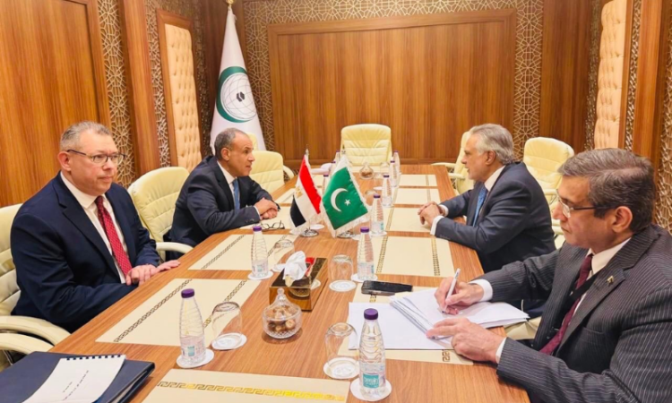 Pakistan, Egypt review bilateral ties, discuss Gaza situation on sidelines of OIC meeting