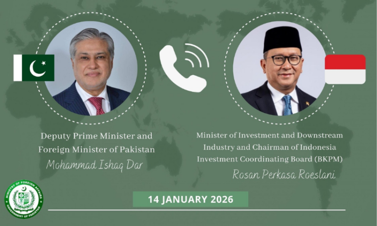 Dar discusses investment cooperation with Indonesian Minister