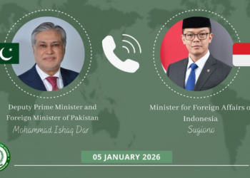 Ishaq Dar holds phone call with Indonesian Foreign Minister to discuss bilateral and global issues