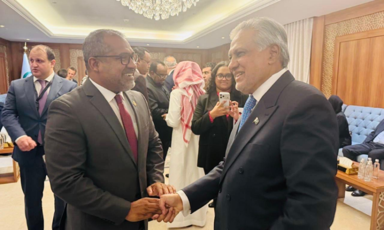 Pakistan, Maldives pledge to further strengthen bilateral ties at OIC meeting