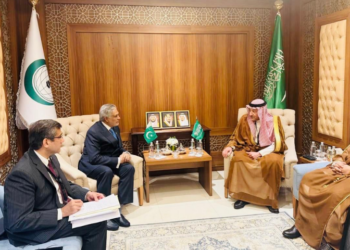 Pakistan, Saudi Arabia reaffirm strategic partnership on sidelines of OIC moot