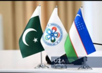 Pakistani ports emerge as strategic gateways for Uzbekistan’s foreign trade