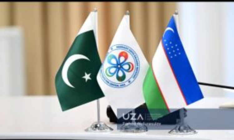 Pakistani ports emerge as strategic gateways for Uzbekistan’s foreign trade